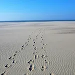 In Near