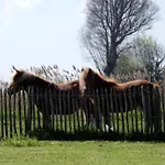 In Near Apartmán