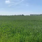 In Near Apartmán *