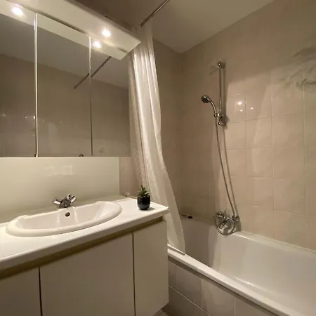 Princess Iii With A Location Apartment Nieuwpoort