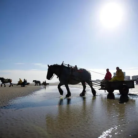 In Near Διαμέρισμα