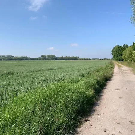 In Near Apartment Nieuwpoort