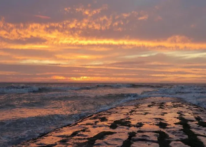 In Near * Nieuwpoort