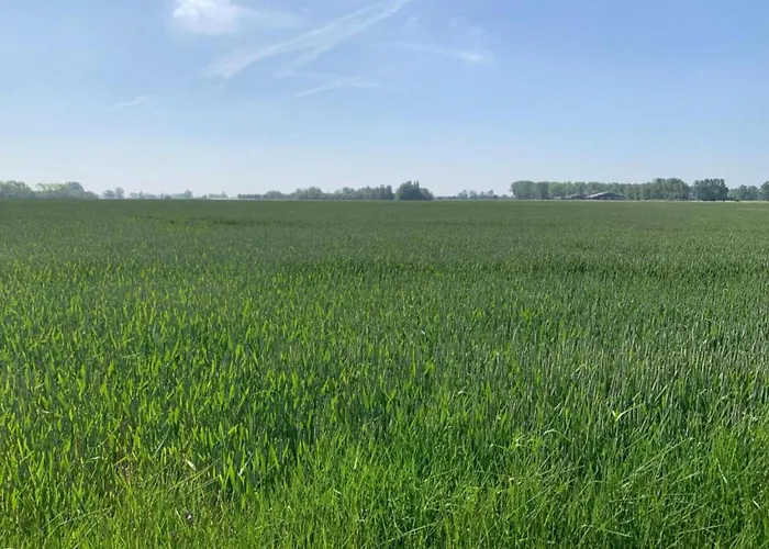 In Near Apartament *